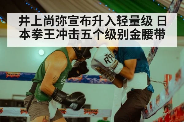 井上尚弥宣布升入轻量级 日本拳王冲击五个级别金腰带