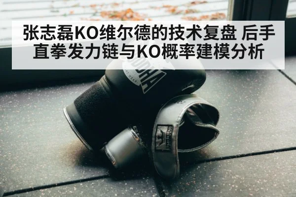 boxing training gloves gym
